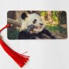 Záložka 3D - č.9_panda 3. náhled