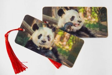 Záložka 3D - č.9_panda